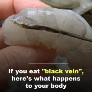 The Truth About Eating the Black Vein in Shrimp Tails
