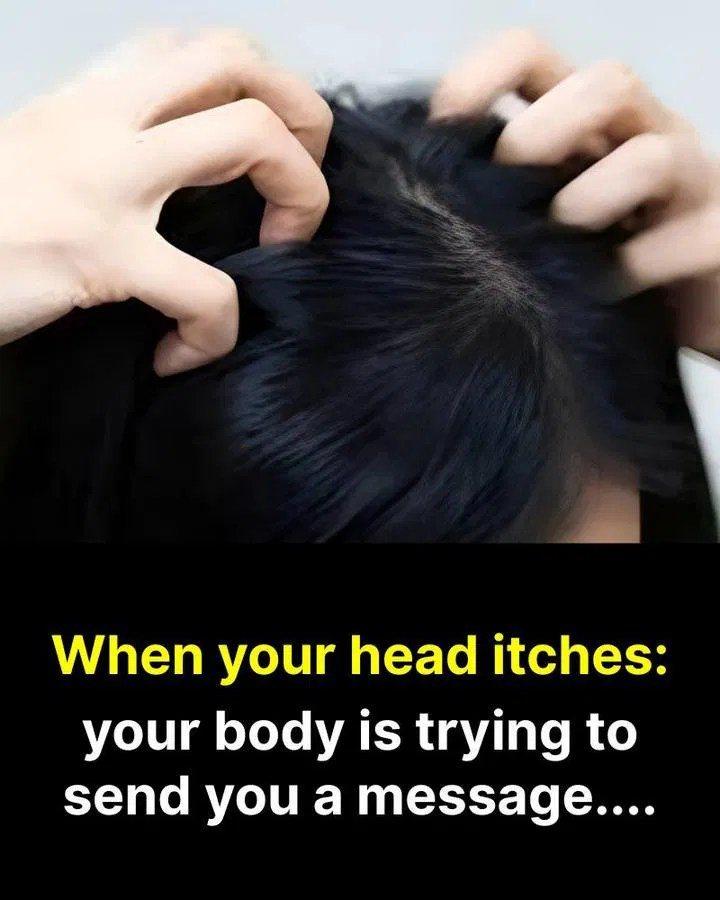 Itchy Scalp? Here Are the Most…