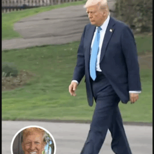 Photo Of Trump Walking Toward Marine One Turns Heads After People Spot Small Detail Photo Of Trump Walking Toward Marine One Turns Heads After People Spot Small Detail