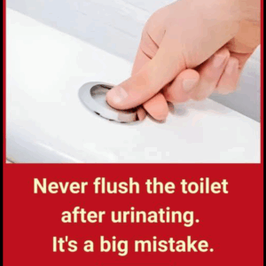 Why is it so important not to… Why is it so important not to…