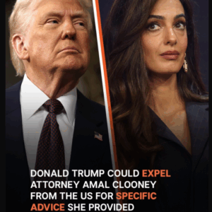 Amal Clooney at Risk of US Entry Amal Clooney at Risk of US Entry