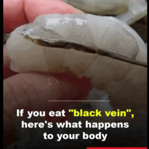 What happens if you eat the black vein in a shrimp’s tail?