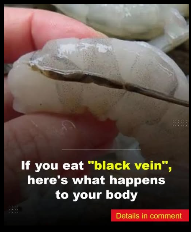 What happens if you eat the black vein in a shrimp’s tail?