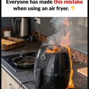 Essential Recommendations for Air Fryer Users