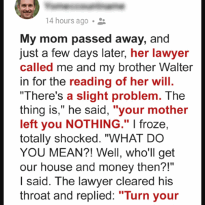 Sons Who Leave Sick Mother Alone Find Out She Left All Inheritance to Her Tenants…