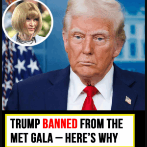 Donald Trump not welcome at the Met Gala – here’s why