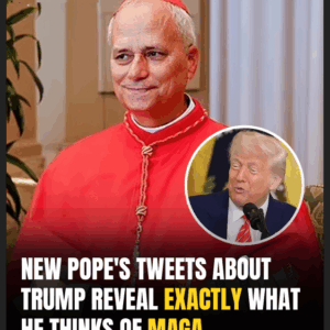 First American Pope Criticized Trump & Vance In Tweets — Now Leading The Church