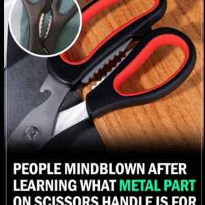 People left mindblown after discovering what metal part between handle of scissors is for People left mindblown after discovering what metal part between handle of scissors is for