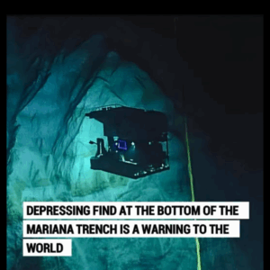 Depressing find at the bottom of the Mariana Trench is a warning to the world Depressing find at the bottom of the Mariana Trench is a warning to the world