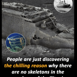 The mysterious absence of bodies in Titanic’s wreckage The mysterious absence of bodies in Titanic’s wreckage