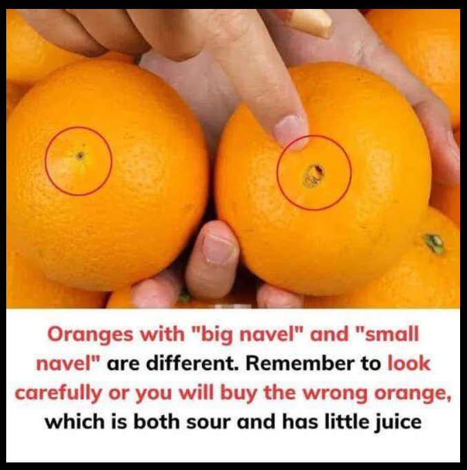 Oranges with “big navel” and “small navel” are different