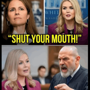 Judge Fined Leavitt 0K for Insulting Biden, 7 Minutes Later