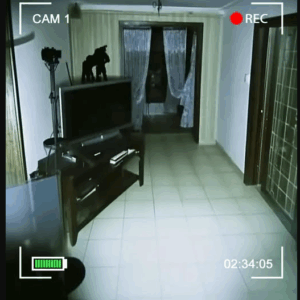 Things in My House Started Moving Around