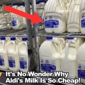 Get the Best Bang for Your Buck at Aldi and… Get the Best Bang for Your Buck at Aldi and…