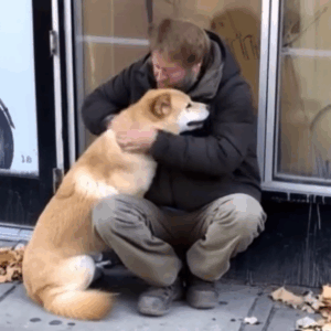 Dog Goes to Closed Store Daily then Leaves, One Evening Poor Boy Notices…