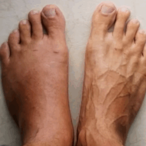 Your Body Will… Your Body Will…