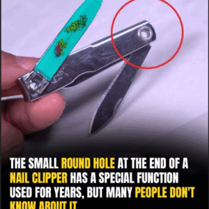 Off The RecordThe “Small Round Hole”