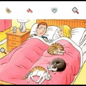 Find the four hidden items. Can you find them all?