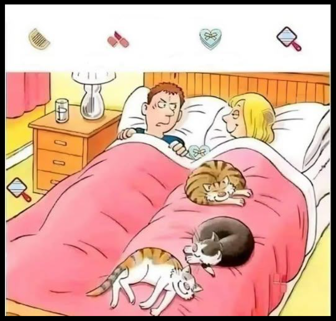 Find the four hidden items. Can you find them all?