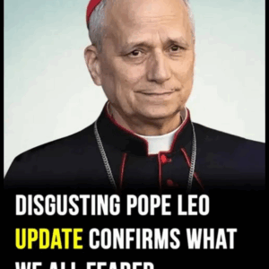 “Woke” Pope Leo XIV slammed by…