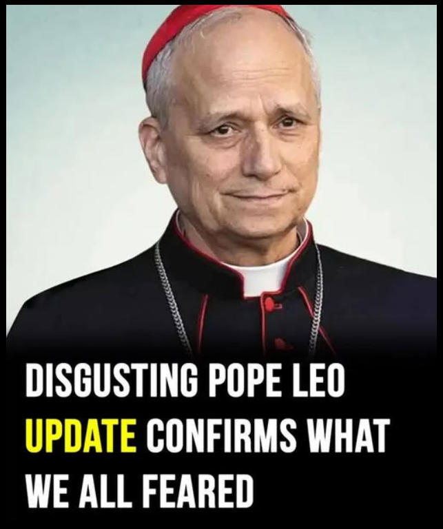 “Woke” Pope Leo XIV slammed by…