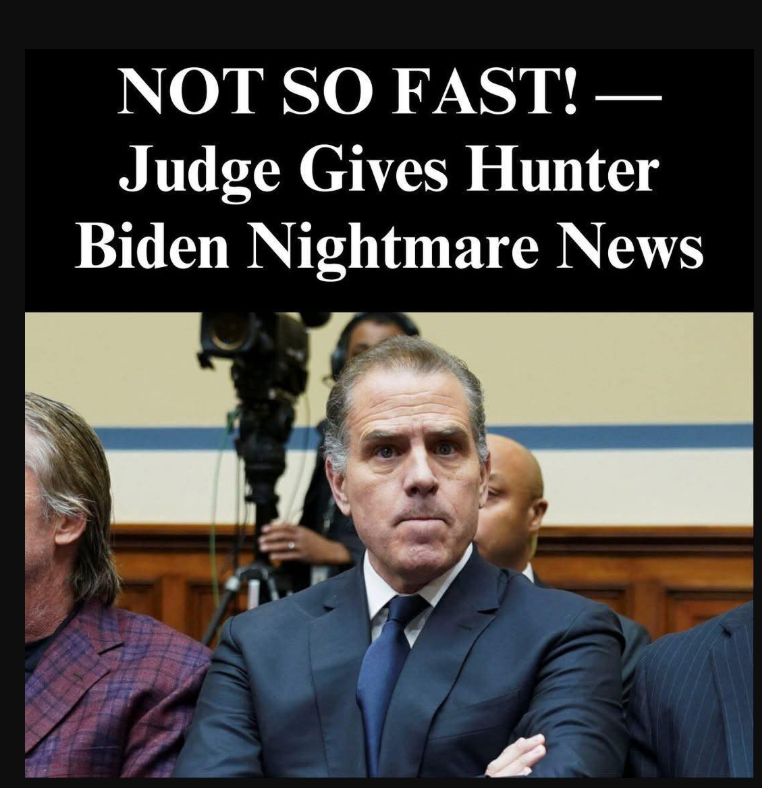 Hunter Biden Cites Financial Woes In Desperate Plea To Federal Judge