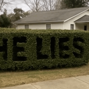 He Lies” Was Carved Into My Hedge—What I Discovered Next Shattered Me