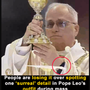 Internet reacts to Pope’s ‘surreal’ outfit detail