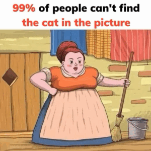Here is the answer