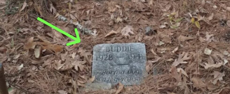 Man Breaks Down In Tears After Seeing What’s Written On Grave In The Middle Of The Woods