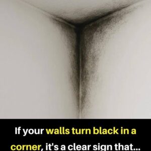 If your walls are turning black in a corner!