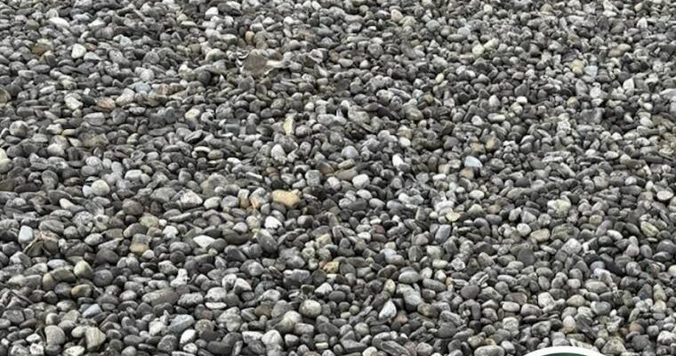 Only People With Eagle Eyes Can Spot This Hidden Bird Among The Pebbles