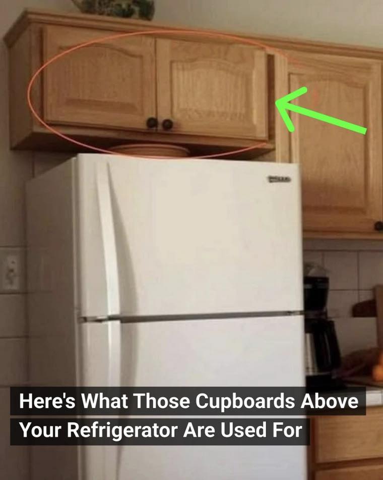 Here’s What Those Cupboards Above Your Refrigerator Are Used For