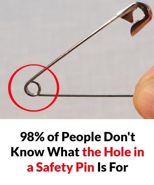 What’s the Purpose?