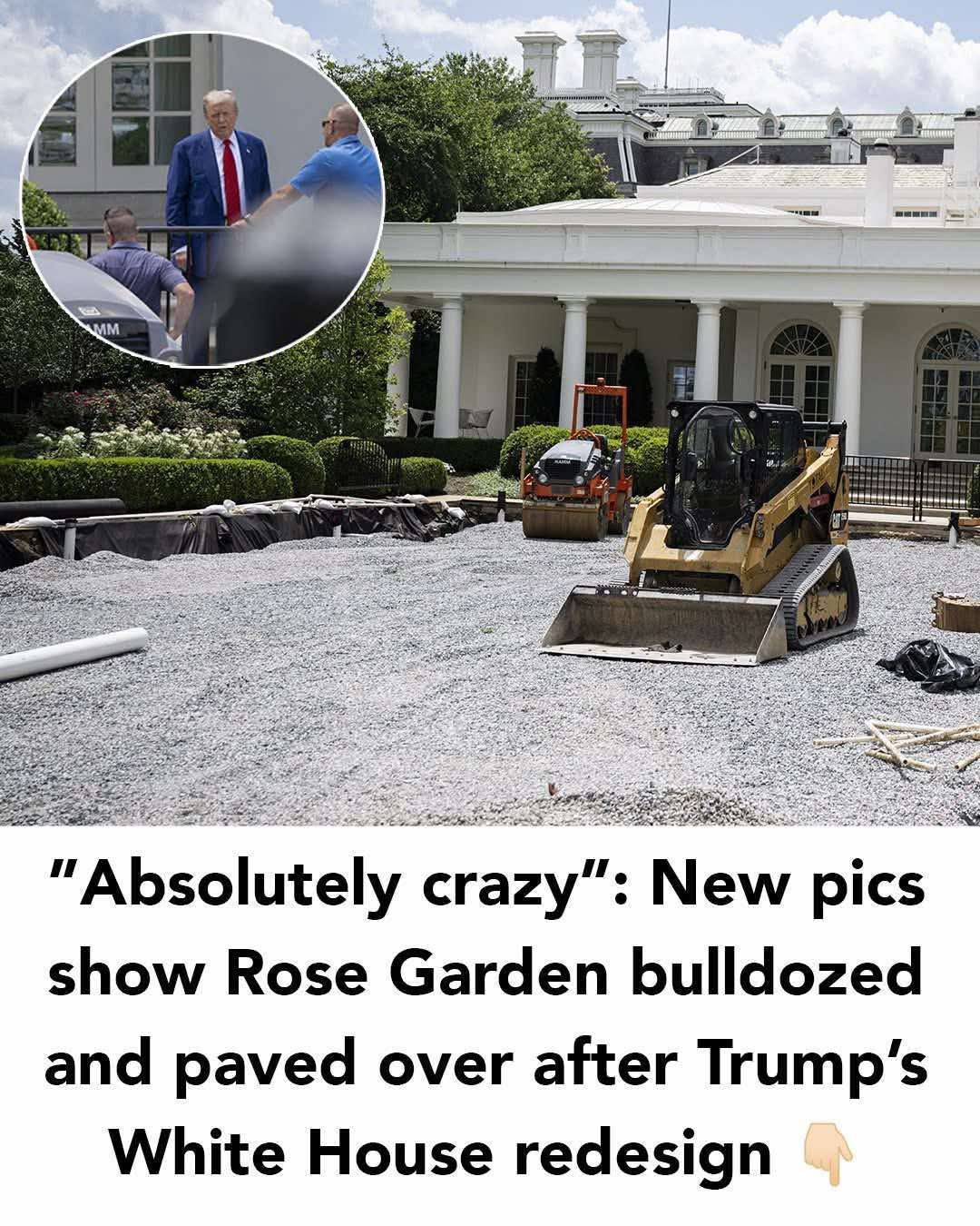 The White House Rose Garden