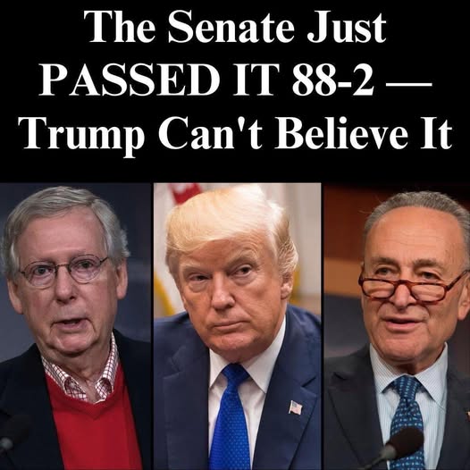 Nearly Unanimous Senate Decision Stuns Everyone