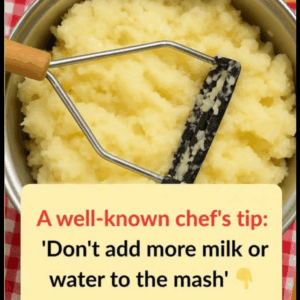 The Best-Kept Secret to Creamy, Gourmet Mashed Potatoes (It’s NOT milk!) The Best-Kept Secret to Creamy, Gourmet Mashed Potatoes (It’s NOT milk!)