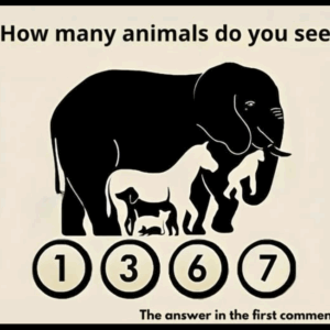 How many animals can you see in this picture