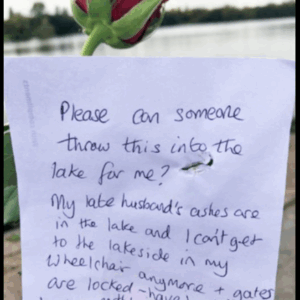 I was devastated by what I discovered in a note on a rose and…