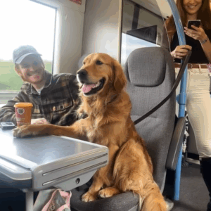A Train Ride and a Knowing Dog