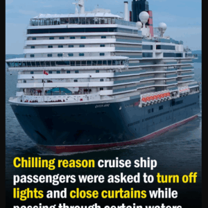 Cruise Ship Passengers Told to Shut Curtains and Lights for a Startling Reason While Sailing Through Certain Waters