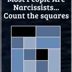 Count The Squares