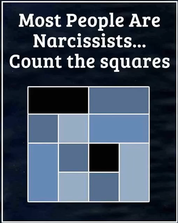 Count The Squares