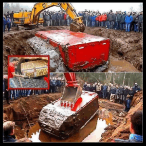 THEY FOUND IT! Legendary Treasure of Oak Island Discovered in Smith’s Cove, and Then THIS Happened