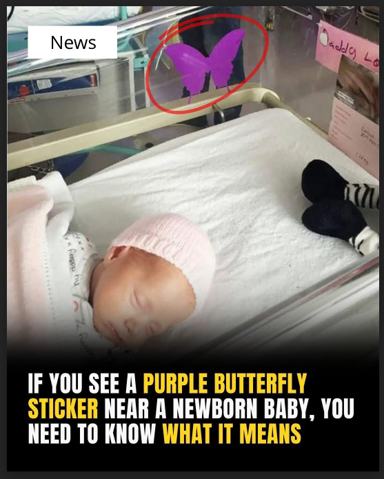 Off The RecordIf You See A Purple Butterfly Sticker Near A Newborn, Here’s What It Means