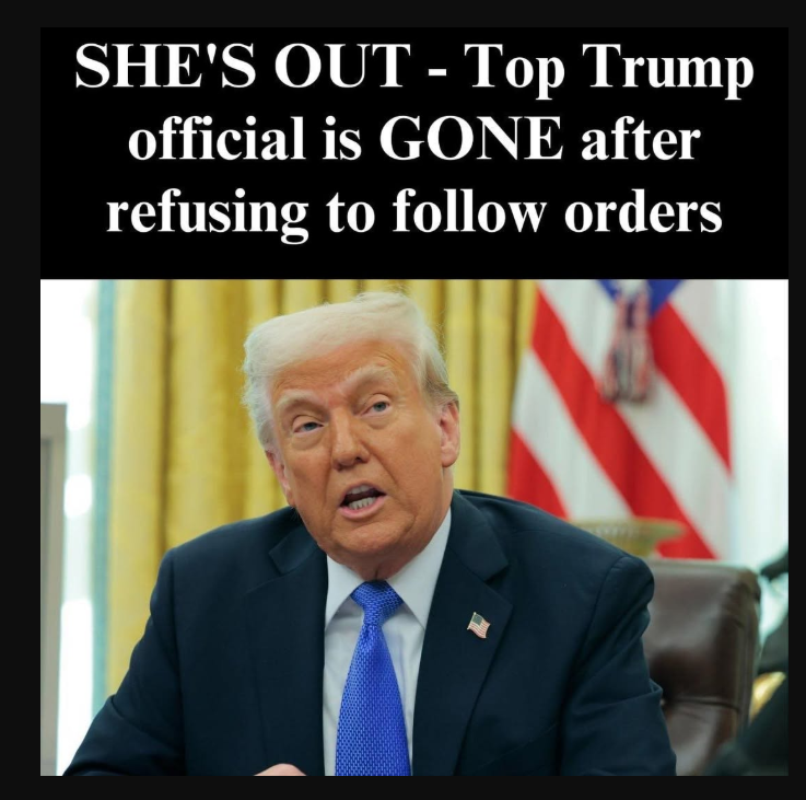 Mysterious Exit: Top Trump Official Is Gone After Withdrawing from a Shadowy…