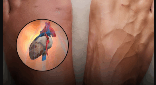 Your Body Could Be Warning You With These 9 Signals A Month Before A Heart Attack