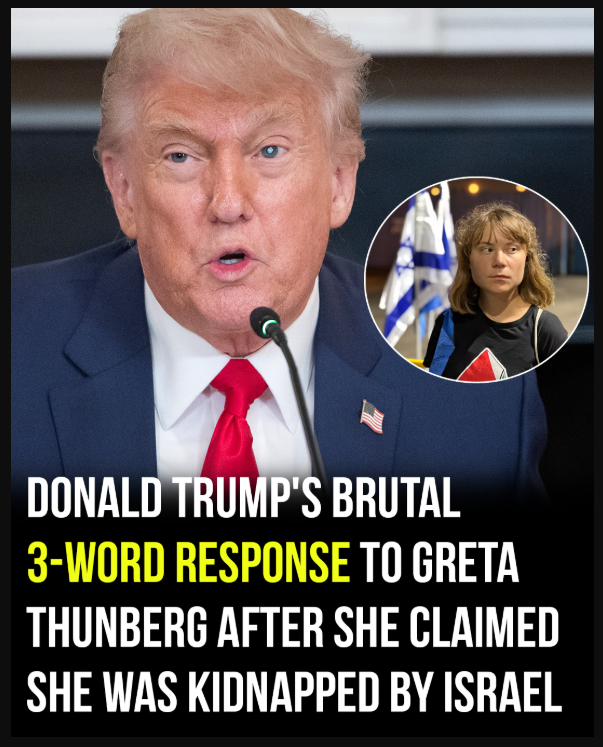 Trump reacts to Greta Thunberg’s kidnapping claim with 3 blistering words