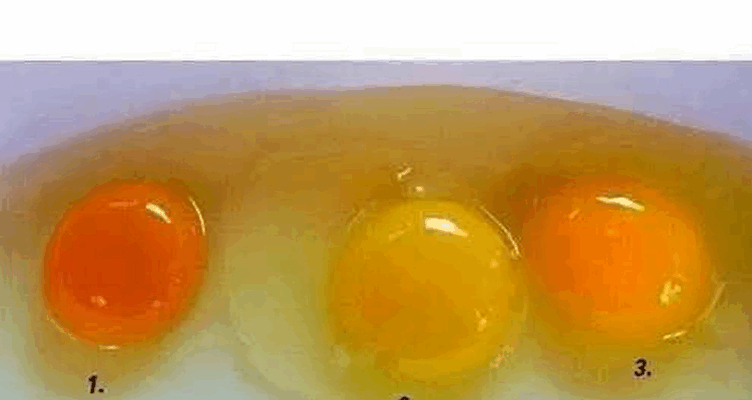 The Secret Signs of a Fresh, Top-Quality Egg