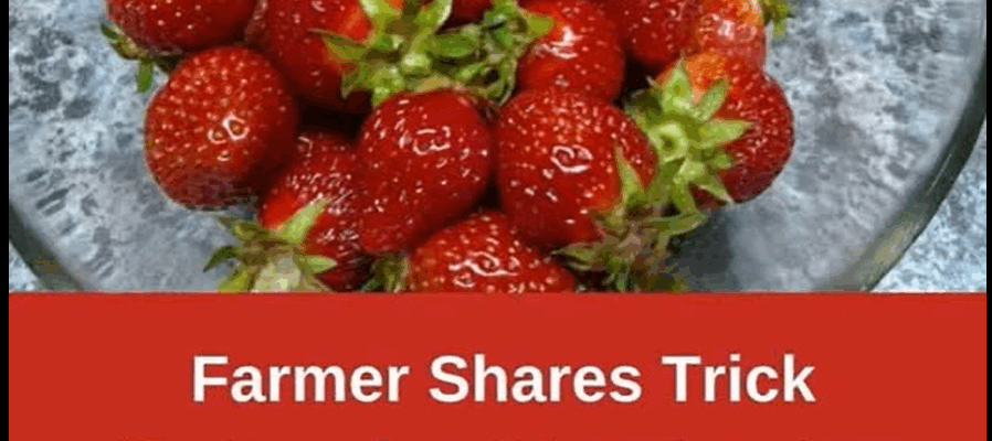 Keep Strawberries Fresh